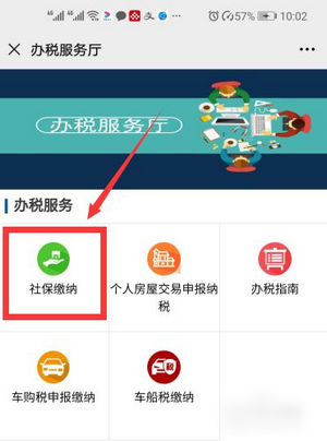 河北税务app医疗保险缴费平台