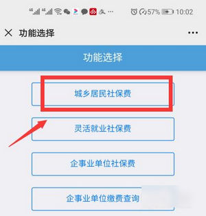 河北税务app医疗保险缴费平台