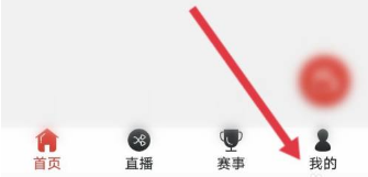 河豚直播体育APP