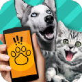 狗语翻译器App官方版