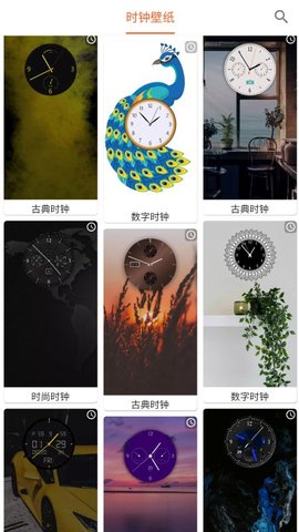 飞鲨壁纸高清版