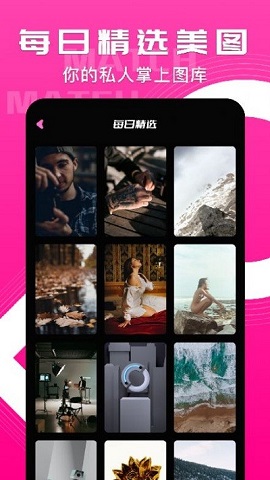 小鸟壁纸