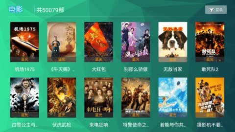 295影院tv破解版