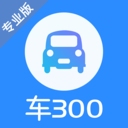 车300App官方版