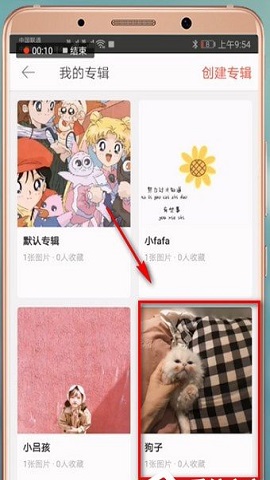 堆糖破解版