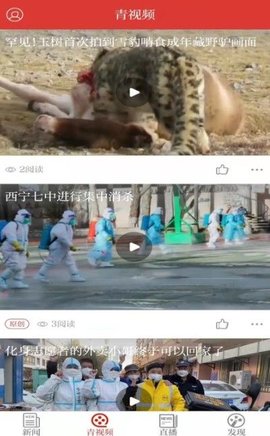 西海都市报2022冬奥频道