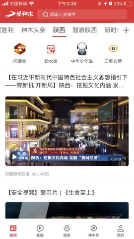 爱神木