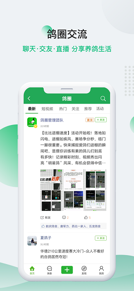 中国信鸽信息网在线拍鸽APP