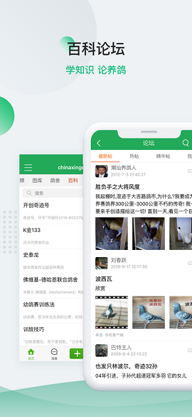 中国信鸽信息网在线拍鸽APP