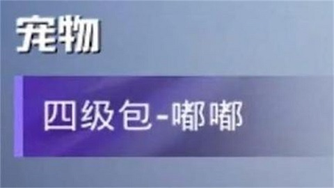 和平精英四级包嘟嘟有什么用 四级包嘟嘟作用及获取方法