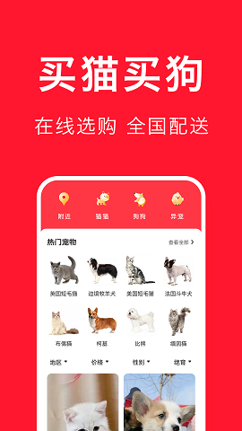 宠物宝手机版