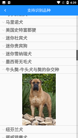 狗狗照片扫描仪APP免费版