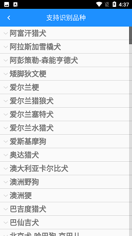 狗狗照片扫描仪APP免费版