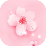 樱花草视频破解版