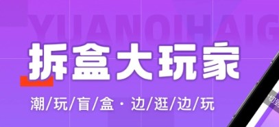 拆盒大玩家官方版