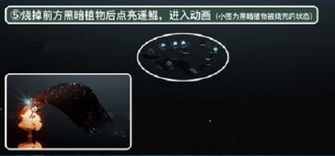 光遇潜海季第五个任务怎么做 潜海季第五个任务攻略