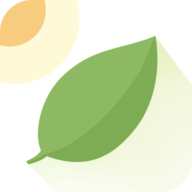 薄荷天气APP正式版