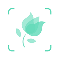 形色植物识别app2025最新