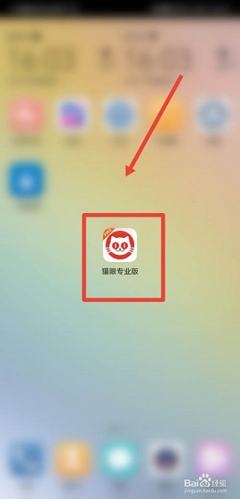 猫眼票房专业版最新APP