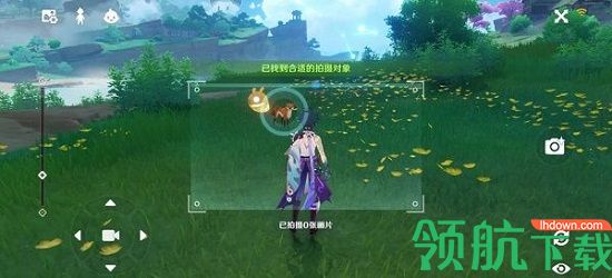 原神稻妻特色动物有哪些 原神稻妻特色动物位置大全