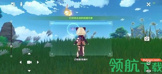 原神稻妻特色动物有哪些 原神稻妻特色动物位置大全
