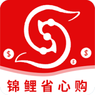 锦鲤省心购app官方版
