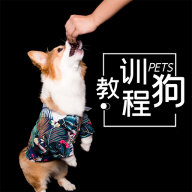 训狗宝典APP专业版