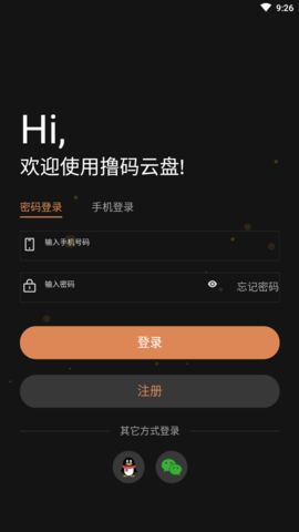 撸码云盘 (2)