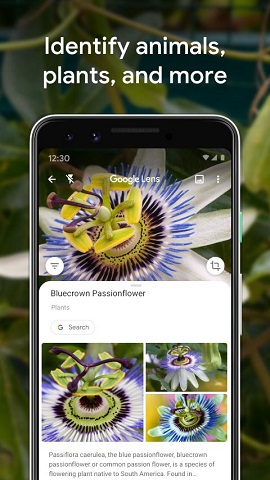 手机谷歌识图在线识别APP