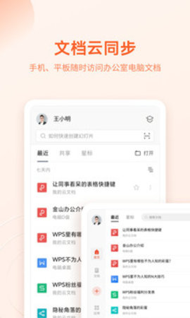 WPSOfficePro