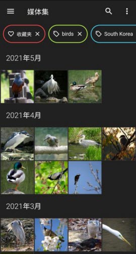 开源安卓图片EXIF相册Aves Gallery