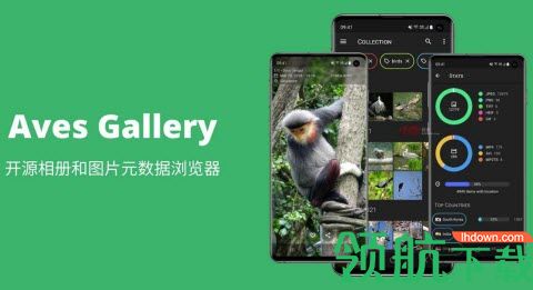 开源安卓图片EXIF相册Aves Gallery