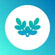 羞草编辑2022最新版App