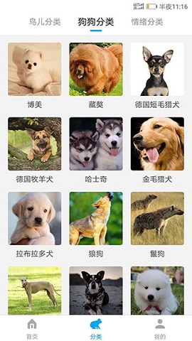动物翻译器中文免费版