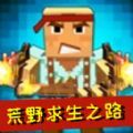 荒野求生之路无限资源版