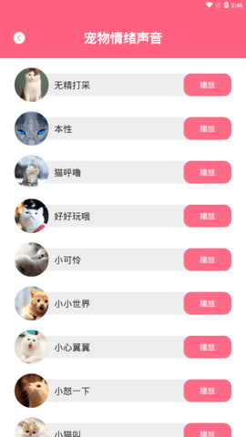 人猫翻译神器免费版App