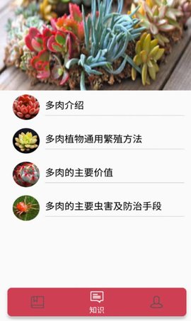 花草多肉日记2022最新版