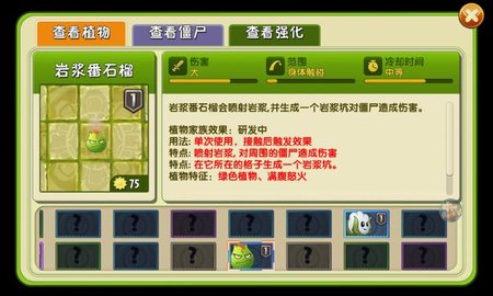 植物大战僵尸2时空秘境第三关怎么冻不了僵尸 