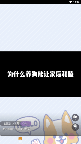 撸猫短视频 (2)