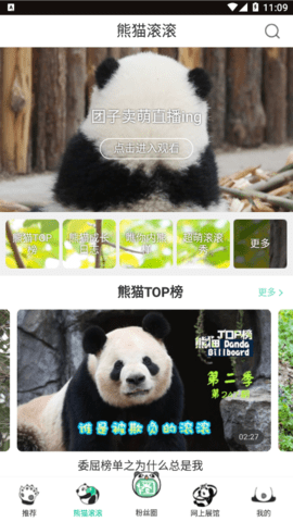 熊猫频道手机客户端