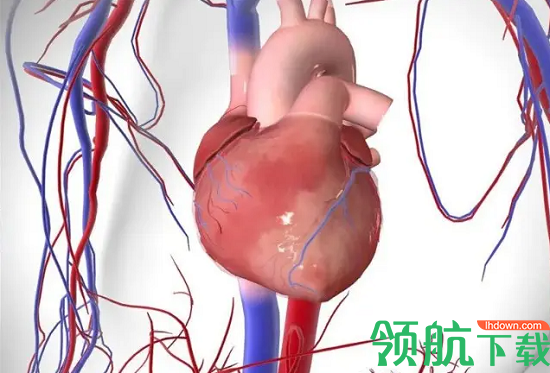 知疾健康管理APP官方正版