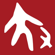 大国文博安卓最新版App