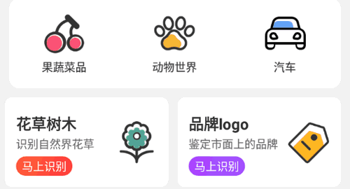 随手拍照识别软件免费版