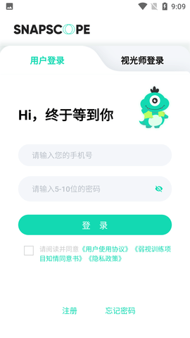 大E小E视觉训练APP纯净版
