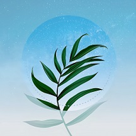 花草百科识别最新版