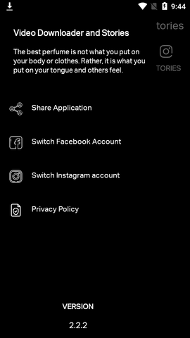 Video Downloader and Stories下载工具