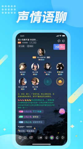 麦克语音交友软件