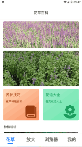 畅享大字版软件app
