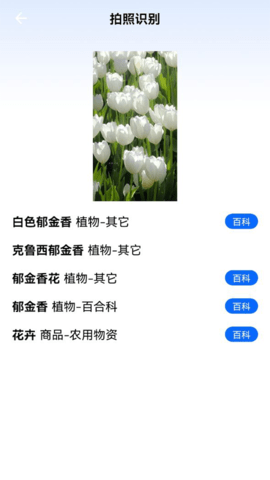一起认植物App免费版
