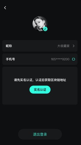 第五境面数字藏品平台
